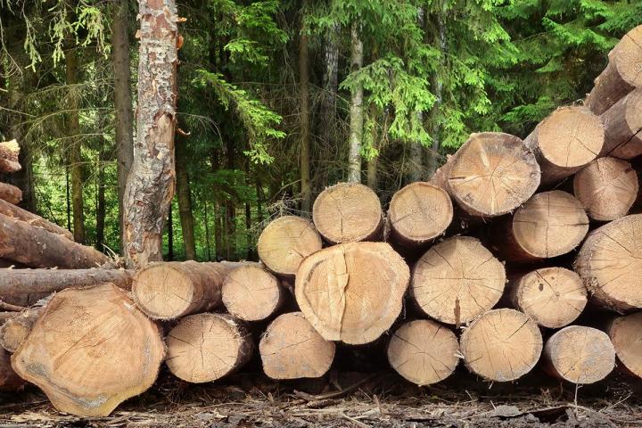 Rachat de billots Gatineau
